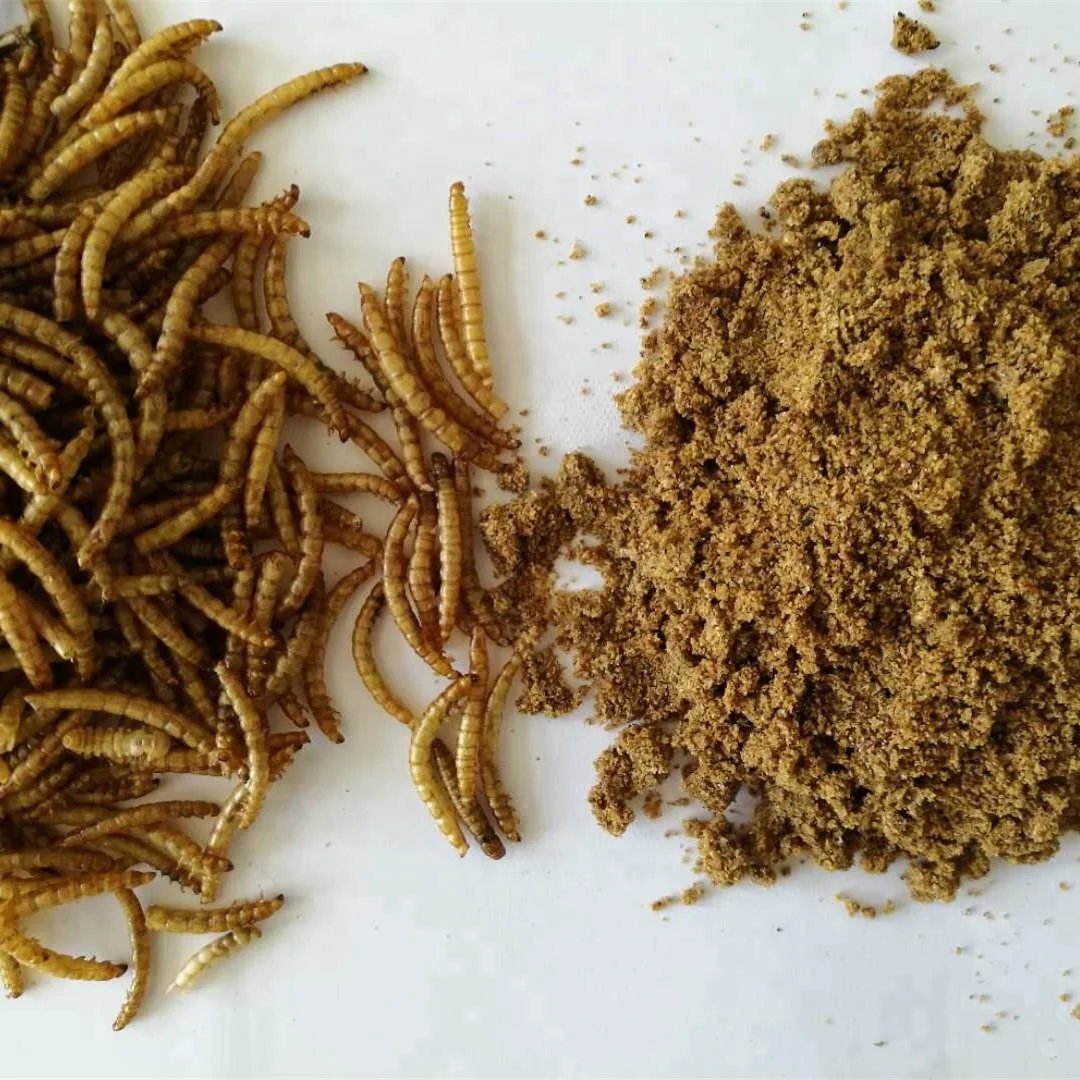 
100% nature dried mealworm powder fish meal animal feed livestock feed additive 