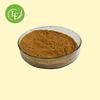 Lyphar Supply Best Quality of Spina Date Seed Extract