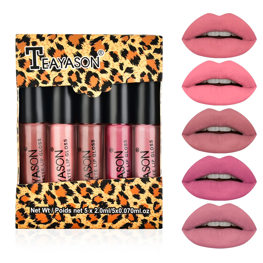 

Matte Lip Glaze 5 Mini Box Set Lip Gloss Lipstick Non Sticky Cup Nude Pumpkin Color