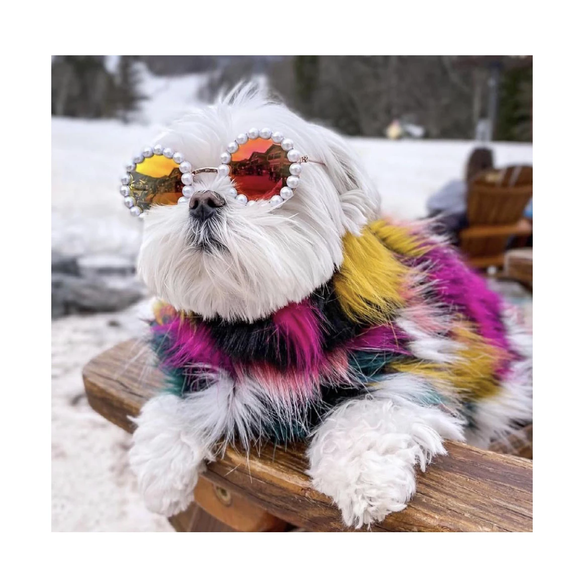 

Wholesale Pet Accessories Photo Decoration Heart Shape Dog Sunglasses Pearl Pet Sunglasses Dogs Cat Glasses, As shown in details