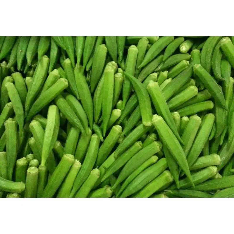 
Hot Selling Organic Fresh Okra By Frozen Food Manufacture Have Okra Planting Base For Sale 