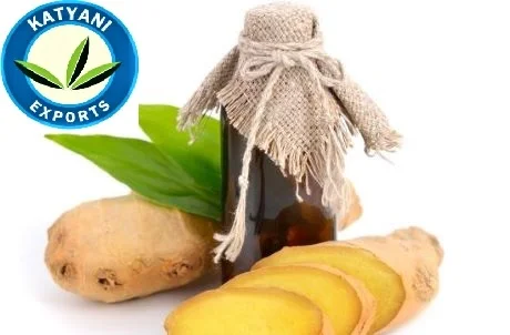 
100% Best Organic Ginger Essential Oil for Hair Growth at Sale Price 