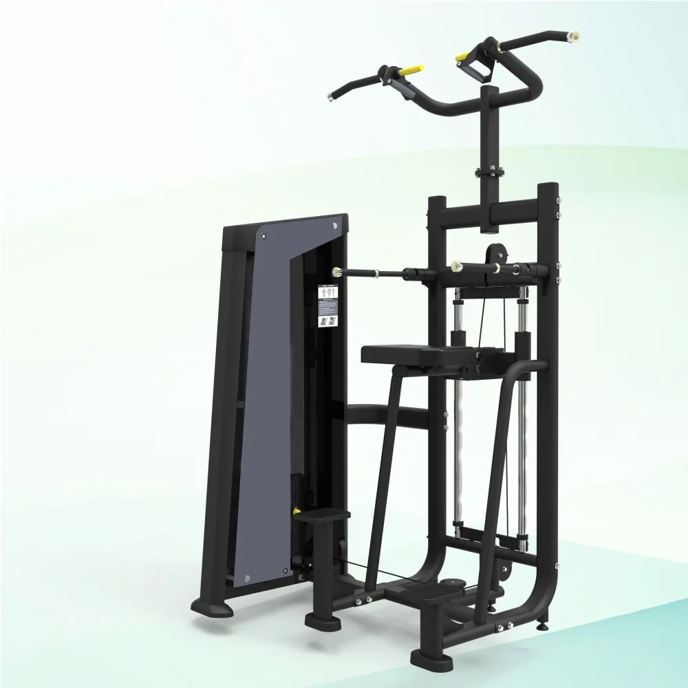 

International Approvals Dip/Chin Assist Gymnastics Equipment Commercial Sport Machine With Best Quality and Lower Price for Gym, Customized color