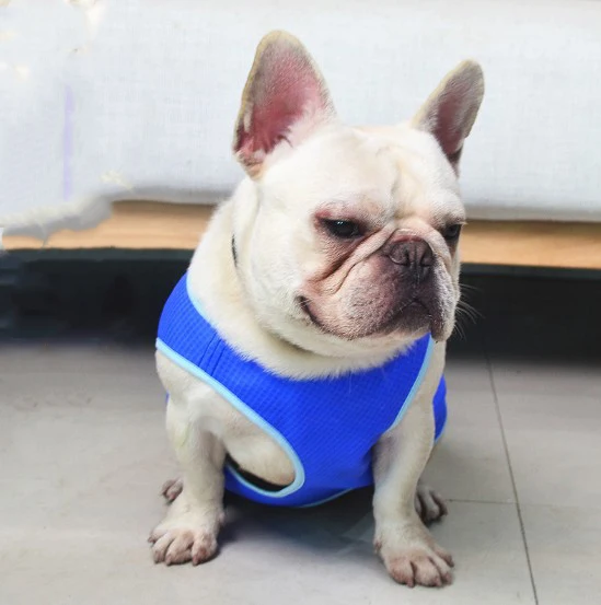 

Amazon Hot Sale Dog Cooling Vest Dog Clothes Summer Dog Harness Cooler Jacket for Outdoor Hunting Training and Camping, Blue