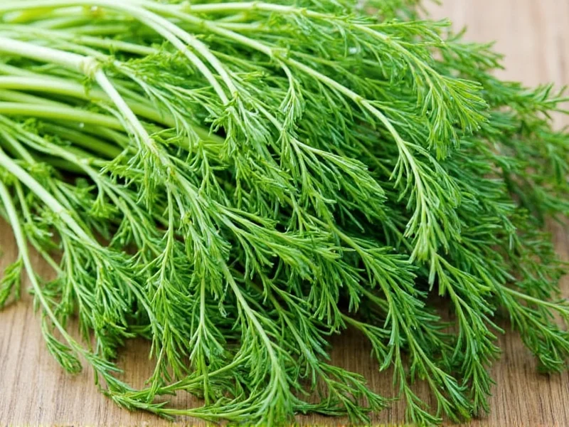 Is Dill Healthy? Science-Backed Benefits Revealed