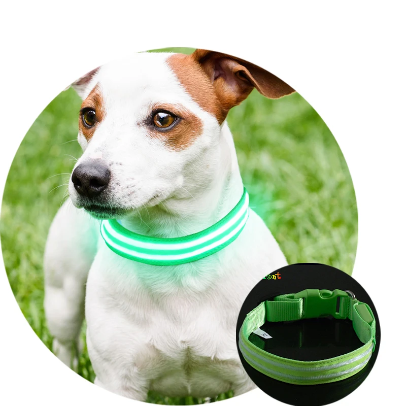 

Dongguan factory led dog collar for pet safety