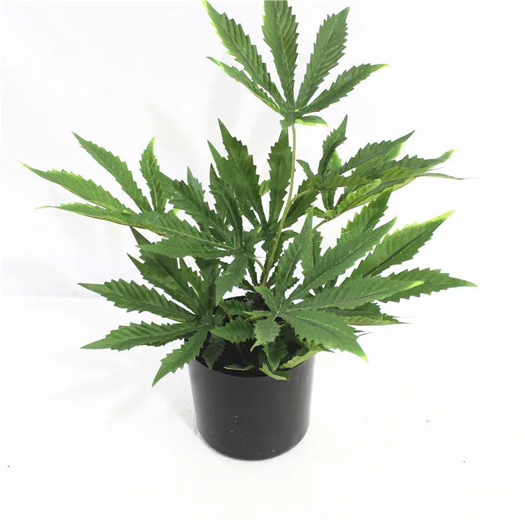 

Wholesale 65CM canabis plant artificia plastic cannabis plant artificial poppy, Green color