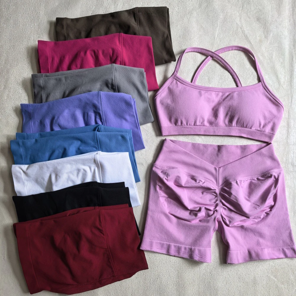 2 Pieces High Stretch Gym Outfits Quick Dry Yoga Set Women Running Wear Fitness Workout Set