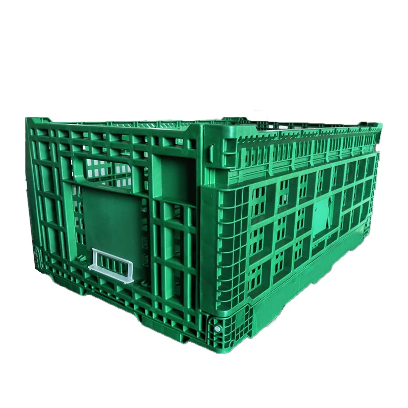 HDFC6040260.jpg