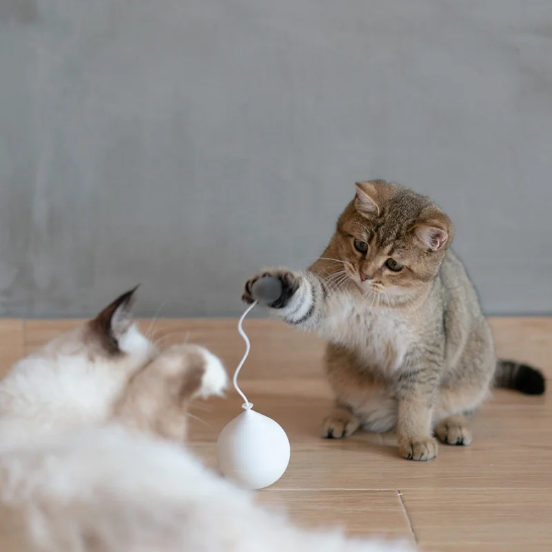 

Hot Selling Automatic Interactive Electric Toys Ball Cat Pet Toy For Cats, White/blue/pink