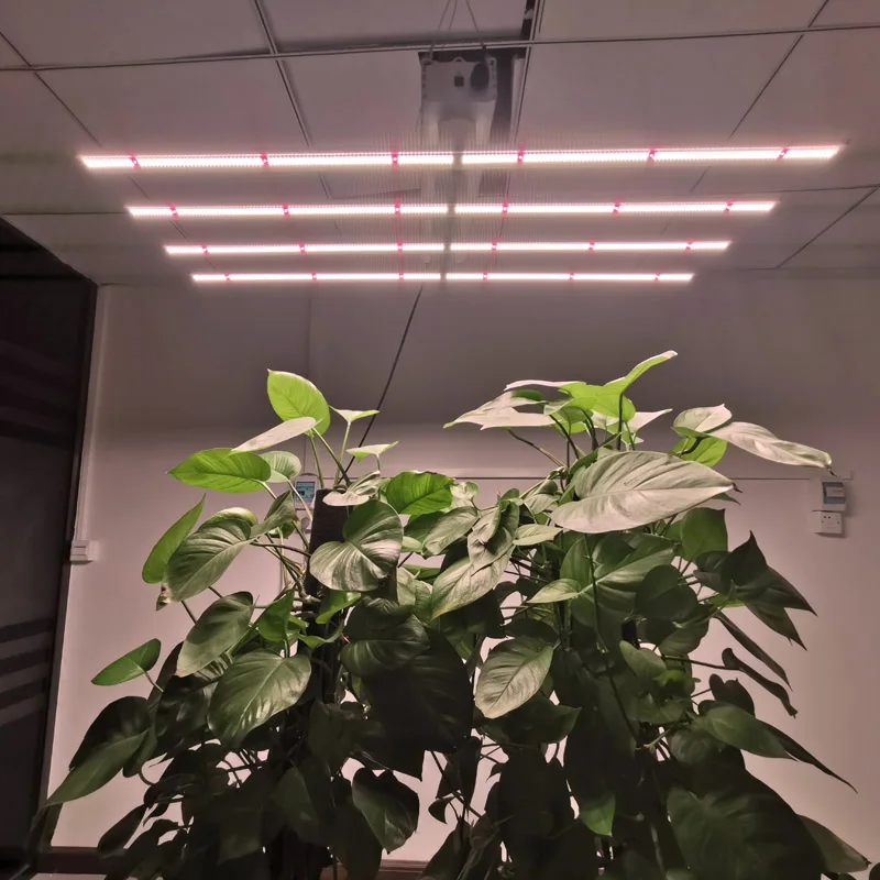 High  Efficiency  Dimmable plant grow light 320W Led Linear Grow Light for Indoor Plant