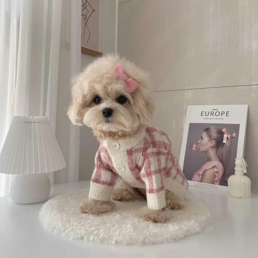 

Winter Sweater Coat Pink Grid Blue Grid Cardigan Warm Dog Sweater Ins Style Designer Dog Clothes Dog Sweater Schnauzer