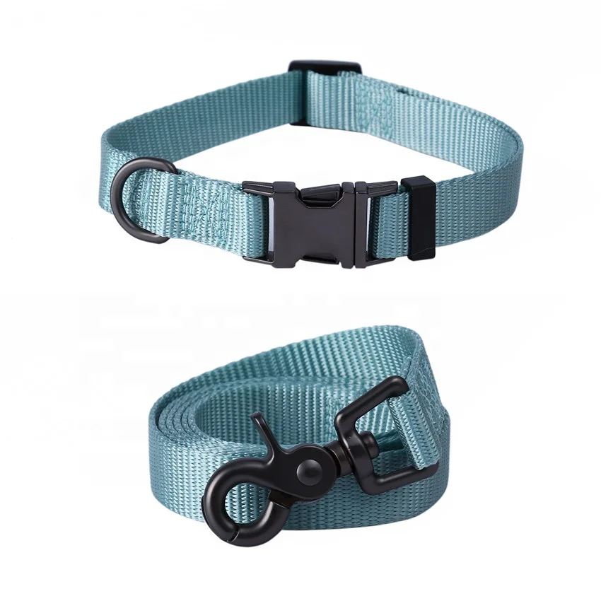 

6011 Pet Collars Wholesale Manufacturer Custom Outdoor Adjustable Dog Chain Dog Collar, Optional