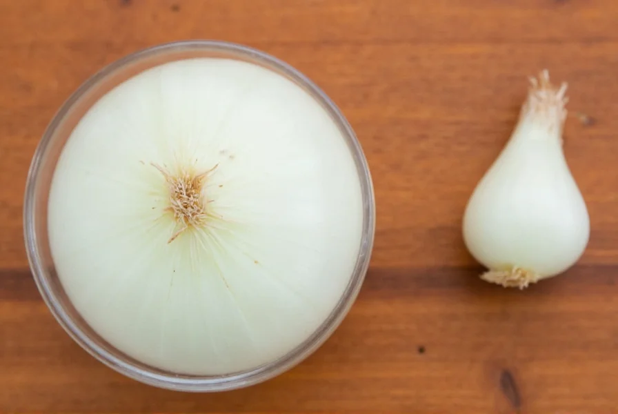 Minced Onion Jar