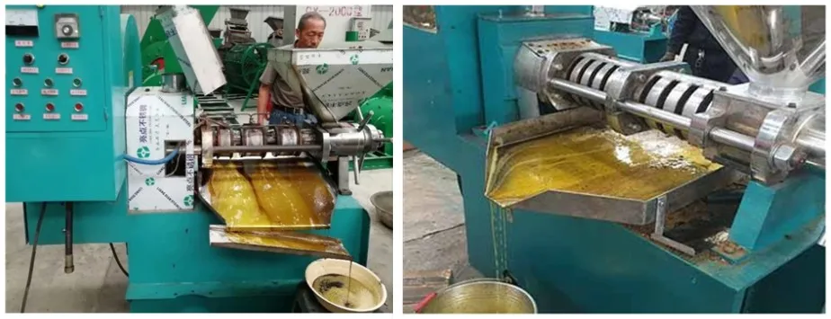 Cold hot oil press machine/Peanut olive oil making machine/Sesame Soybean Coconut Oil extraction machine