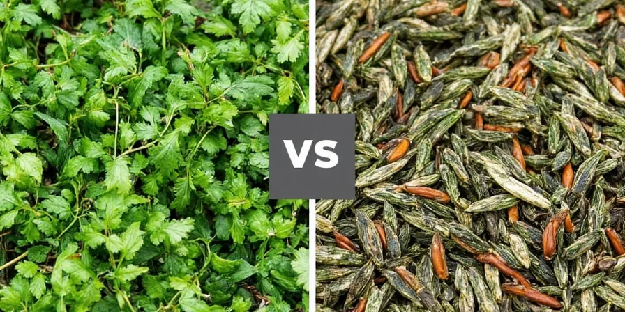 How to Store Fresh Herbs Like a Pro