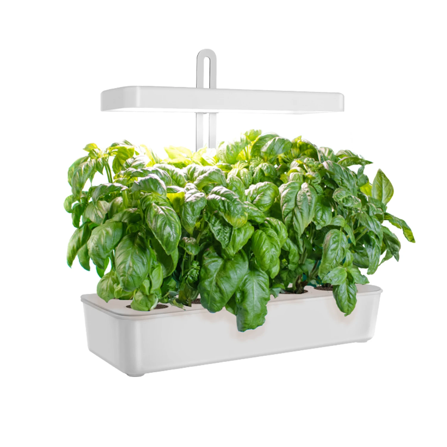

LED hydroponic growing system ideal for plant grow Indoor led grow light mini herb garden kit indoor smart garden microgreens, White