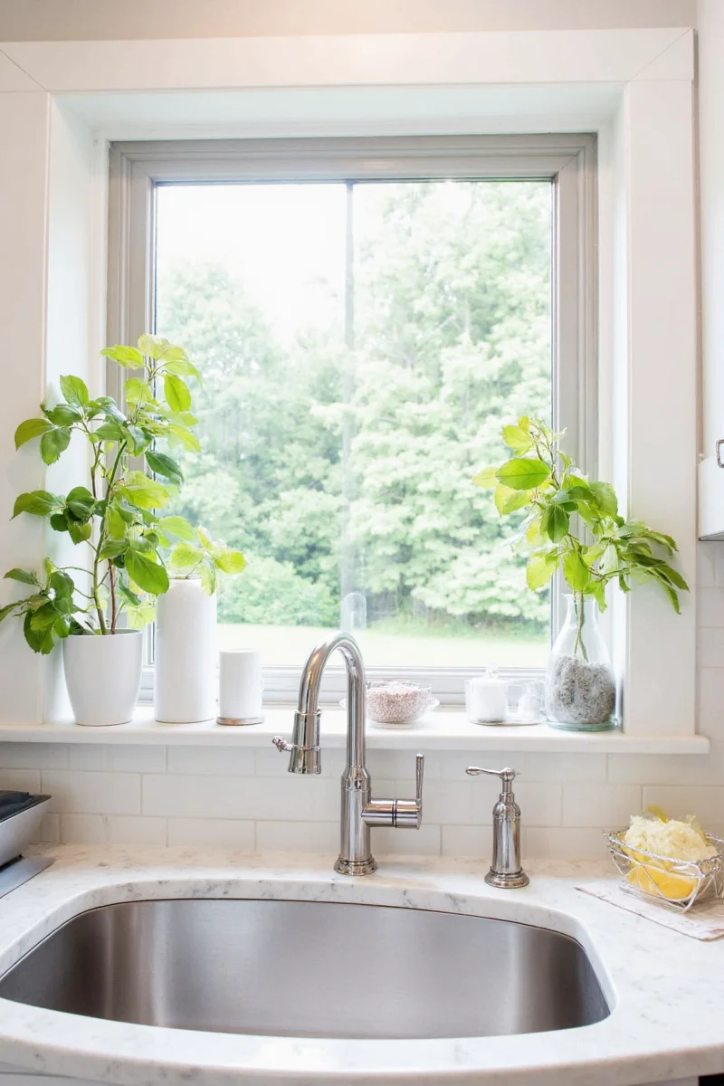 Kitchen sink window with sheer curtains and hanging plants