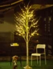Bolylight LED 8ft136L Birch Tree Warm-white Xmas lights Decorations for Home/Bedroom/Party/Garden