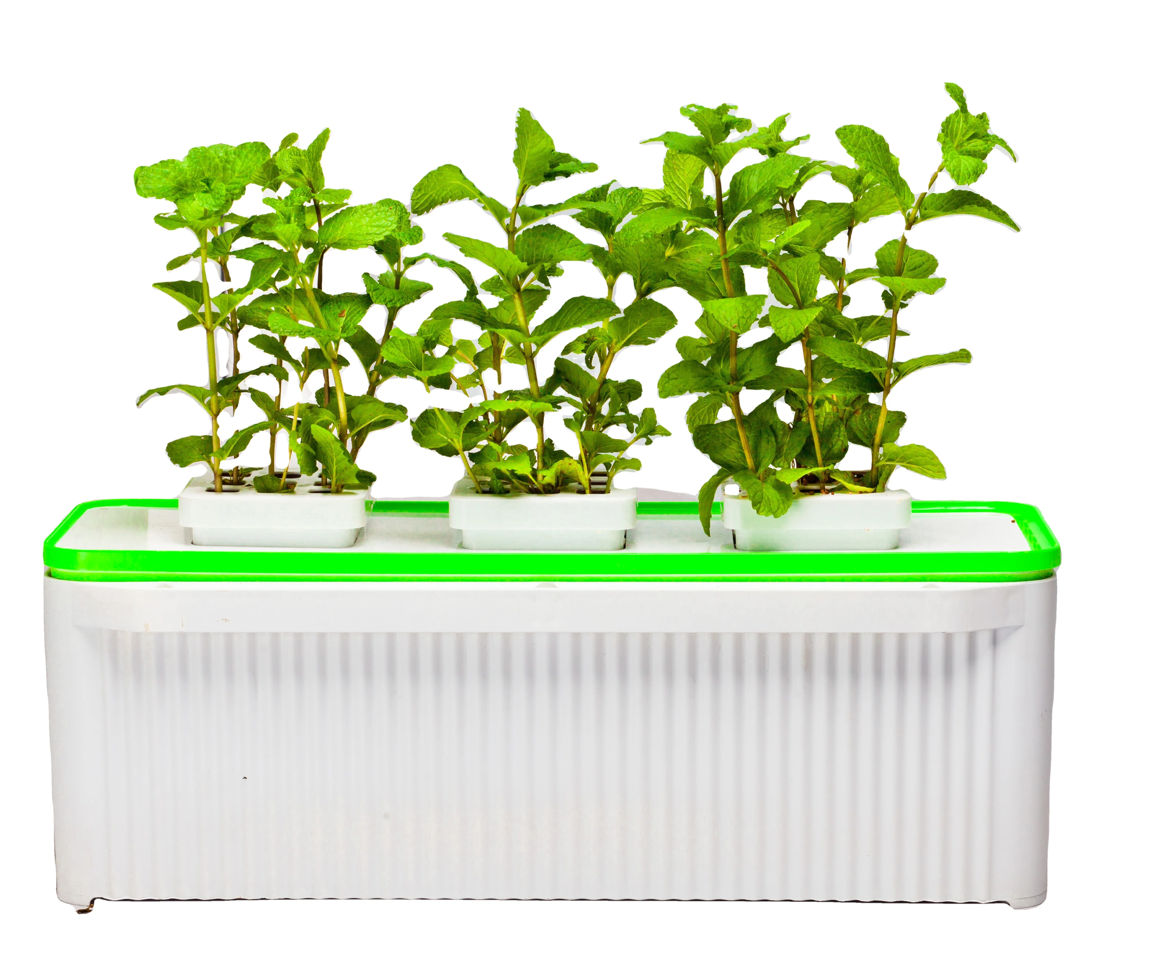 

Hot sale Wholesale bulk smart flower pot indoor balcony table modern simple planting succulent plant nursery flower pot