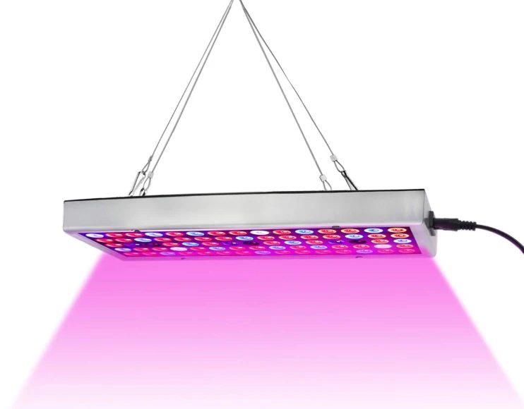 LED Grow Lights, Full Spectrum LED Plant Lights for Indoor Plants,Micro Greens,Clones,Succulents,Seedlings