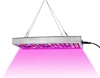 /product-detail/led-grow-lights-full-spectrum-led-plant-lights-for-indoor-plants-micro-greens-clones-succulents-seedlings-62431275109.html