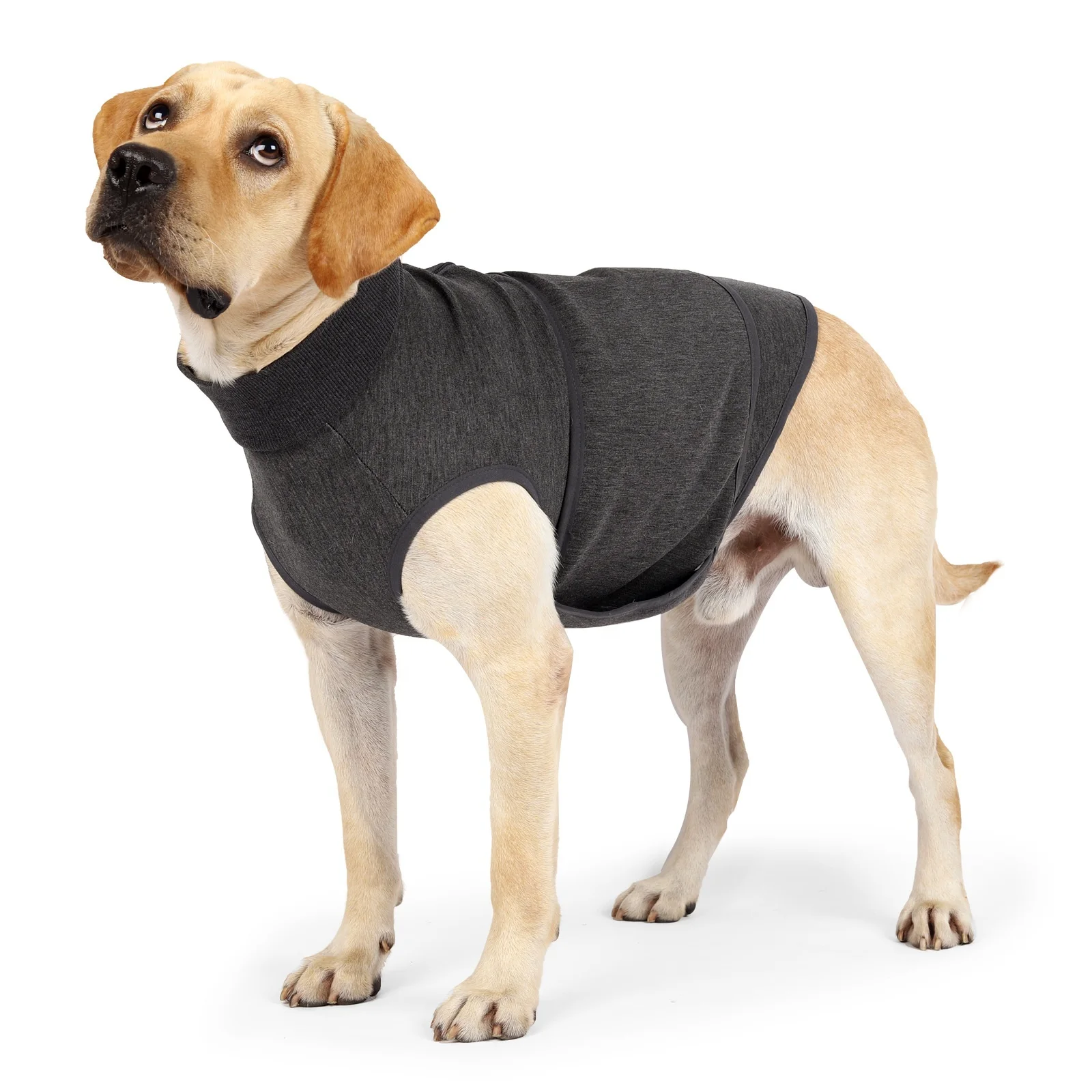 

(XXL)Pet Breathable Soft Basic Clothes Dog Luxury 2022 Winter Casual Vests pets accessories Anti Anxiety Apparel