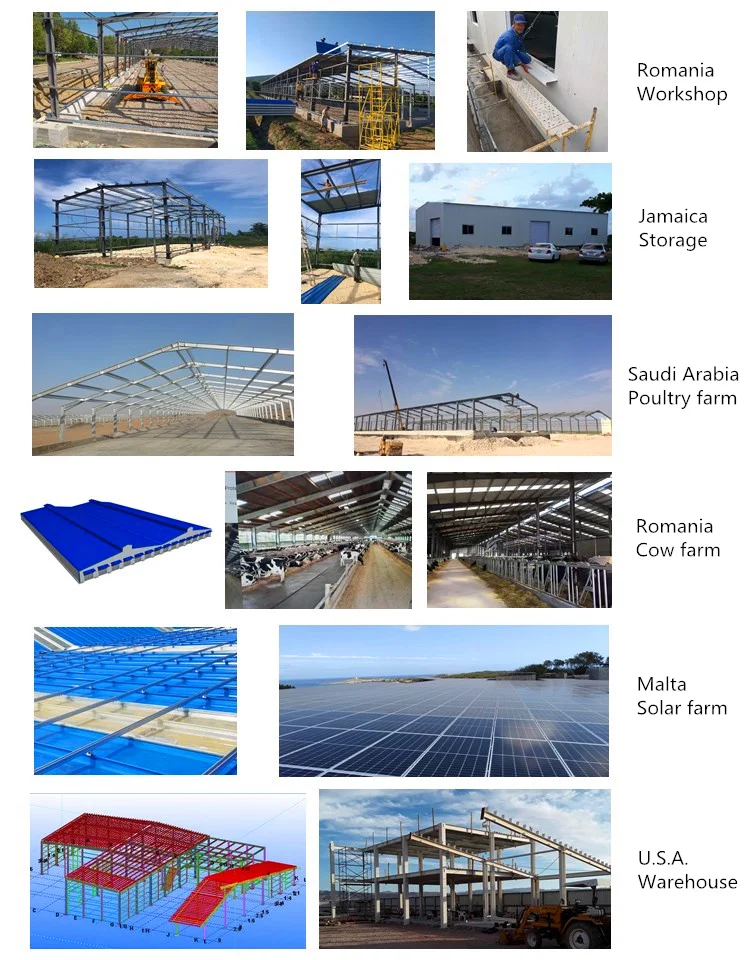 Verified Manufacturer 27.5x10.5x5 Light Construction Material Steel Structure Building Warehouse
