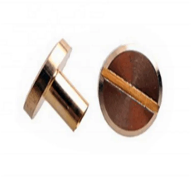 
Customized Flat Slotted Brass Chicago Binding Screws 