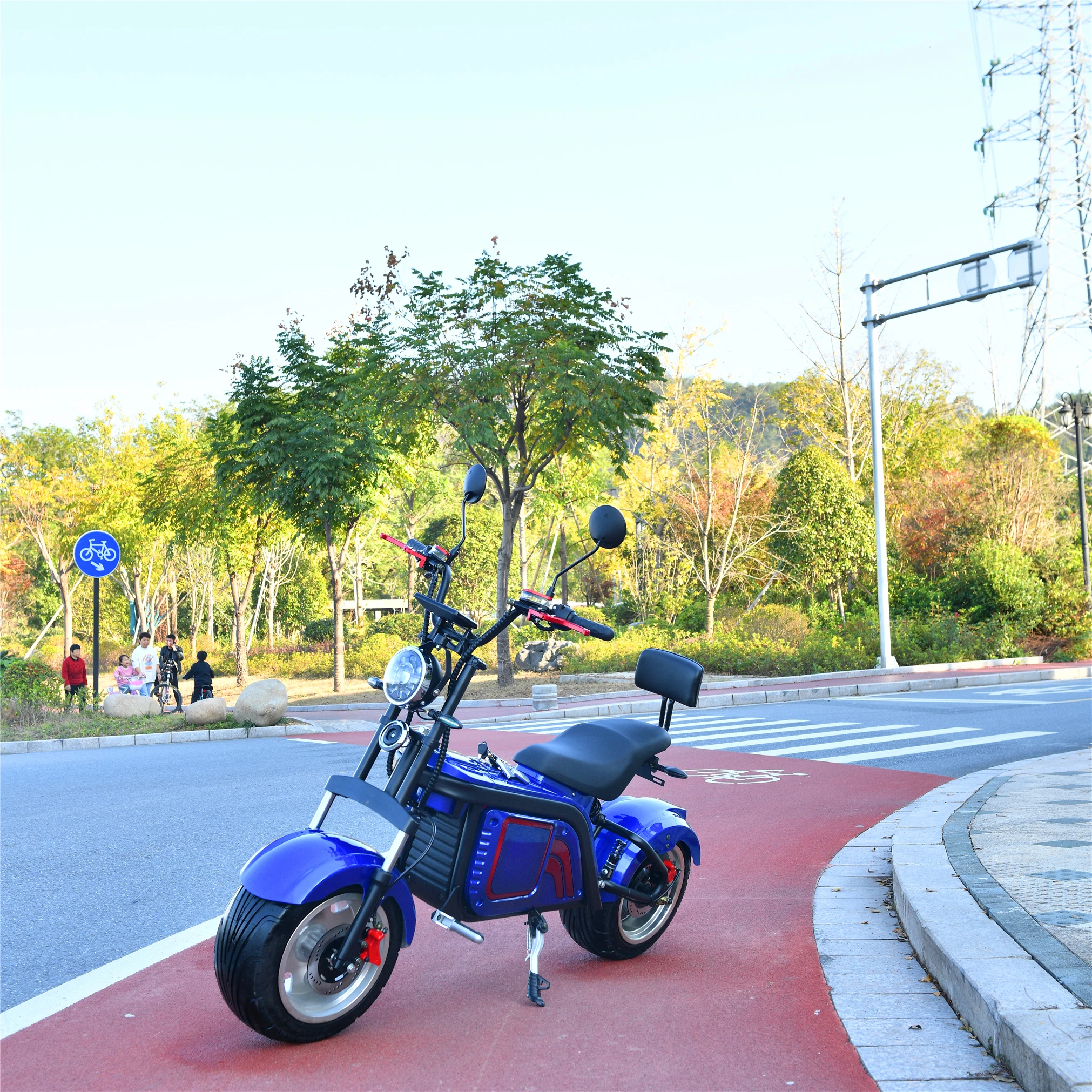 

Custom Color 3 Wheel Tricycles Lion Electric Scooter Brake Disc Made In China, Blue red black yellow