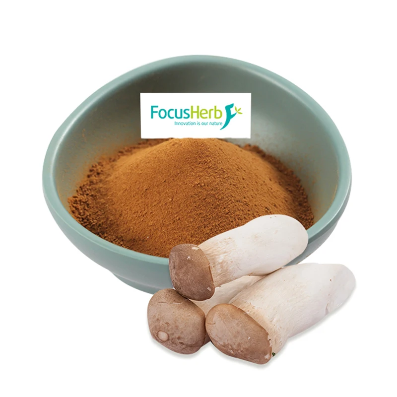 Natural Organic White Button Mushroom Extract Powder Buy Organic