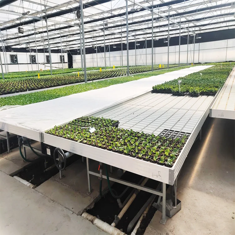 
Rolling greenhouse growing Ebb and flow benches 