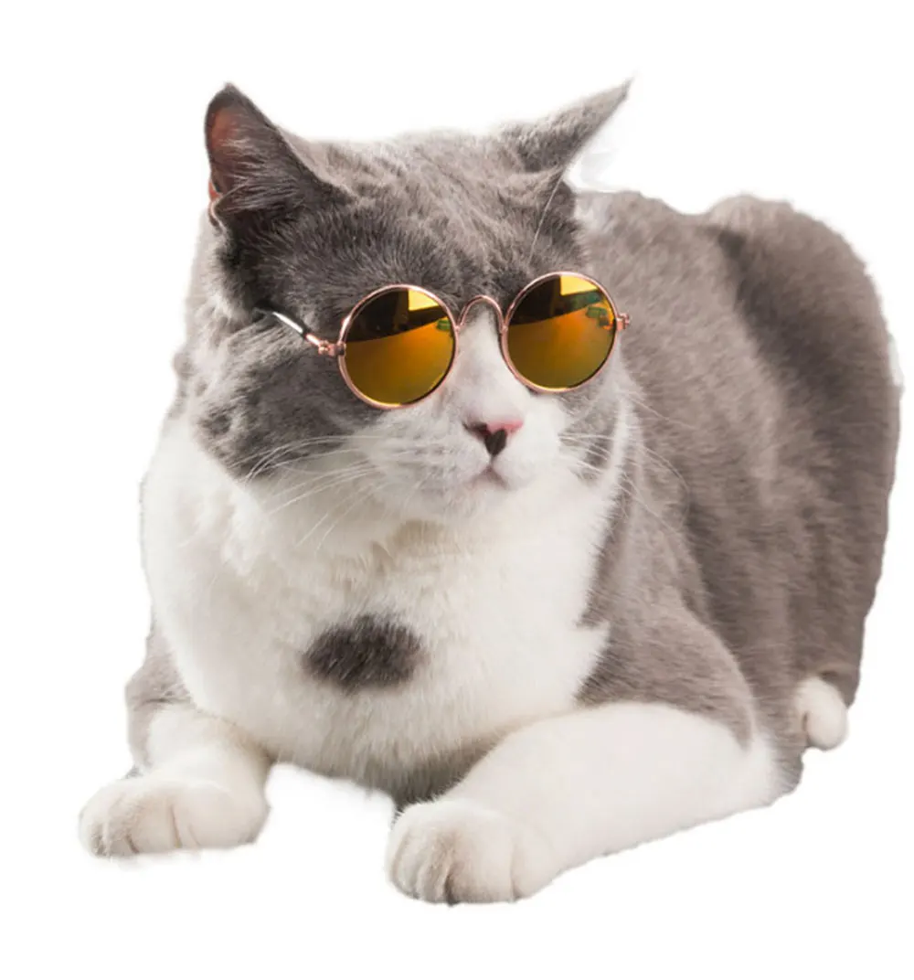 

Amazon Wholesale Cool Cat Sunglasses Pet Accessory High Quality Fashion Pet Sunglasses Glasses