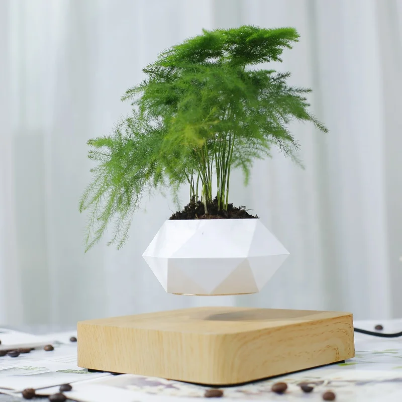 

HCNT Levitation bonsai pot air bonsai table gift home decoration, Light colour, dark color