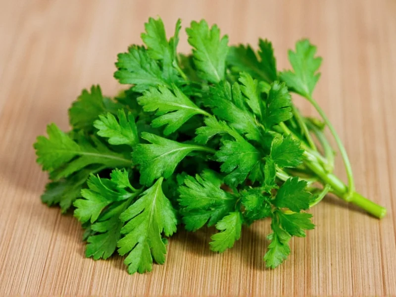 Best Parsley Substitutes: Practical Cooking Alternatives