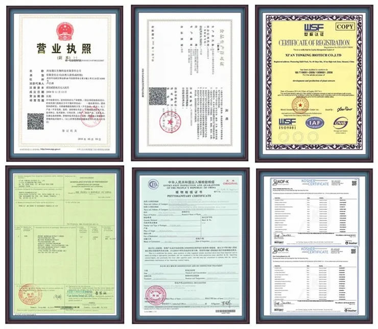
lactose milk powder/lactose milk/lactose powder 