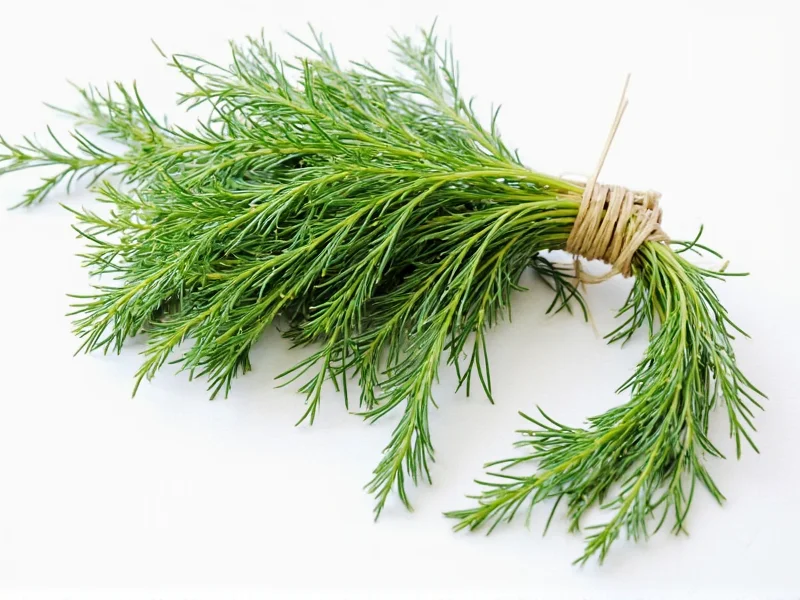 Best Substitutes for Dill Seed: Practical Cooking Alternatives