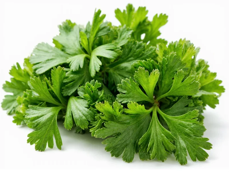 What Is a Parsley Sub? Your Complete Guide