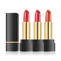 

New arrival luxury design make your own logo waterproof cosmetics lipsticks custom vegan matte lipstick private label