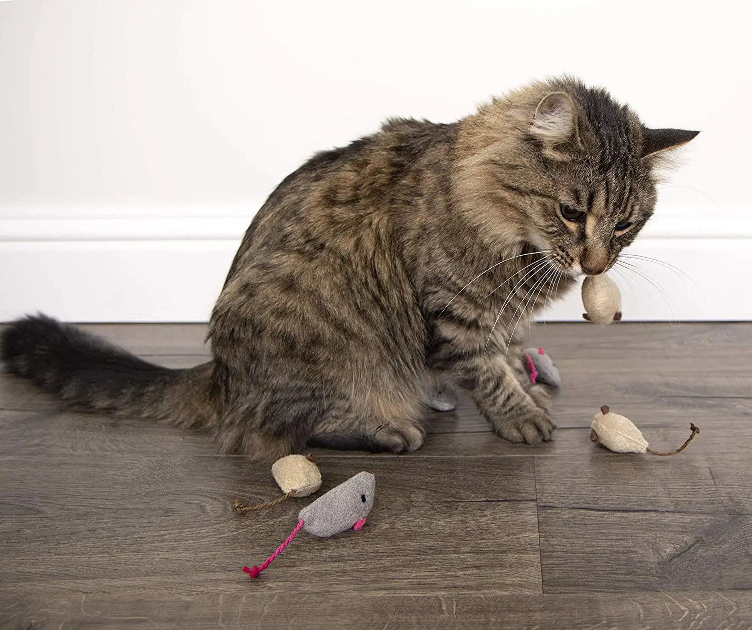 catnip mice for cats