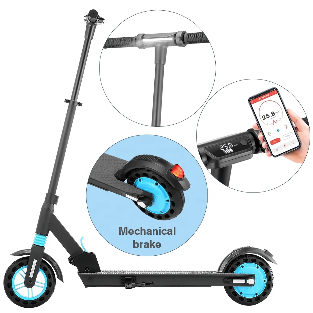 

Foldable Removable Handle 350 W motor conformity CE 2 wheel scooter electric mobility scooter