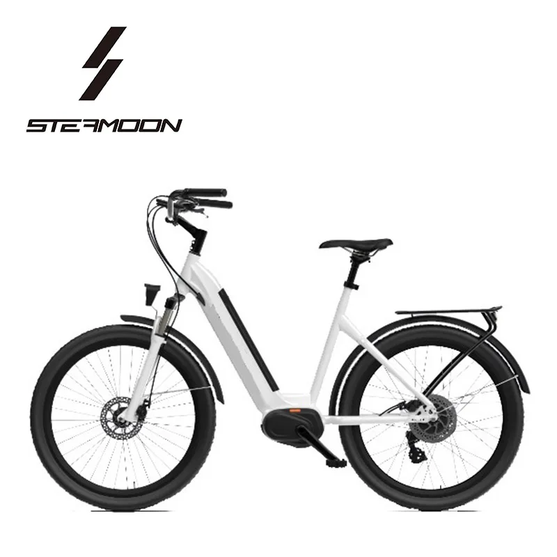 

2020 cheapest dropshipping 36V 350W lady off road delivery city electric bike bicycle with CE