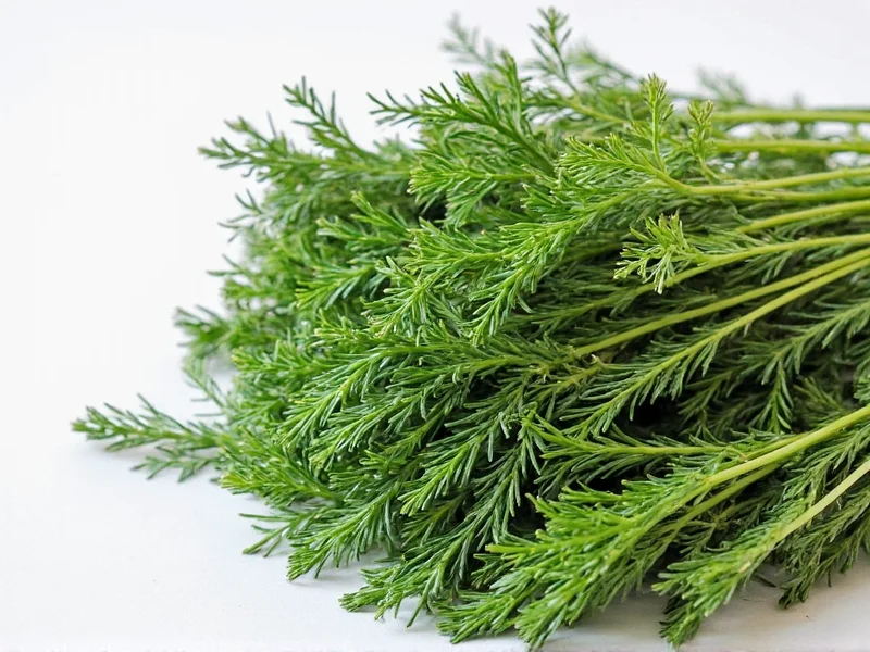 Best Substitutes for Dried Dill: Practical Alternatives