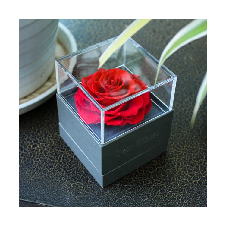 

Valentines day anniversary necklace gift box preserved rose packing dry flower Artificial Flowers for wife girlfriend