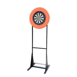 professional dartboard