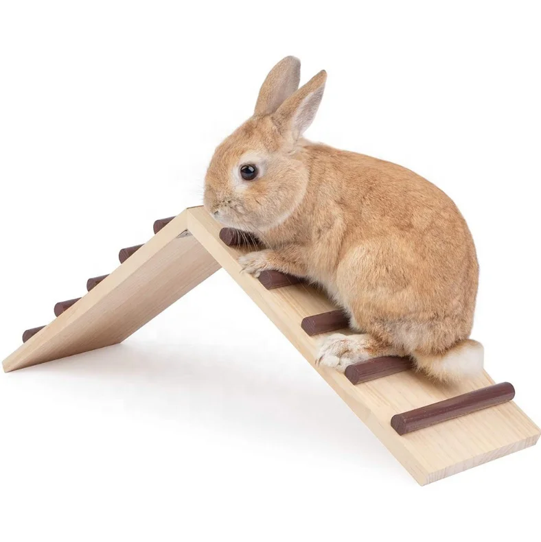 

Large Size Wooden Cage Bridge Springboard Ladder for Rabbits Guinea Pigs and Chinchilla Rabbit Toys