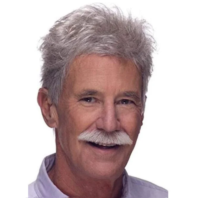 

Middle-Aged And Elderly Fluffy Handsome Silver Gray Men Wig Hair Synthetic Pixie Cut Wigs, 1 color