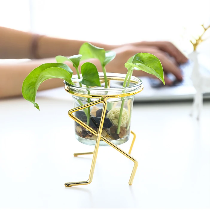 

Amazon Water Glass Transparent Vase Iron Art Decoration Indoor Metal Gold Black Hydroponic Water Raised Green Plant Pot Holder, Black color or as your requirement