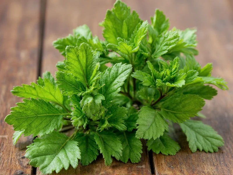 Asian Herbs: Traditional Uses and Modern Applications