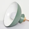Modern Nordic multiple colour FPC industrial lighting pendant light